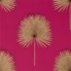 Fan Palm 216638